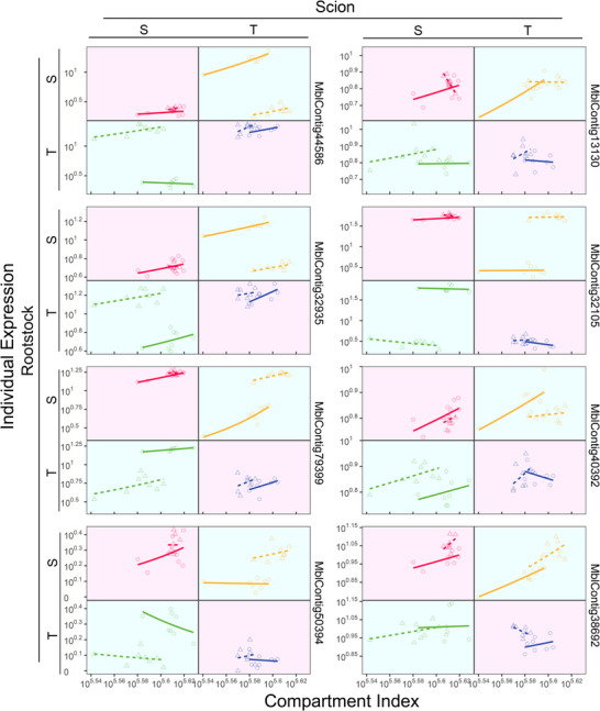FIGURE 3