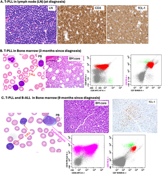 FIGURE 1