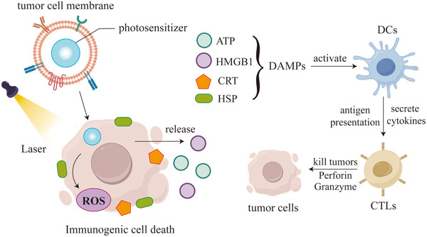 FIGURE 12