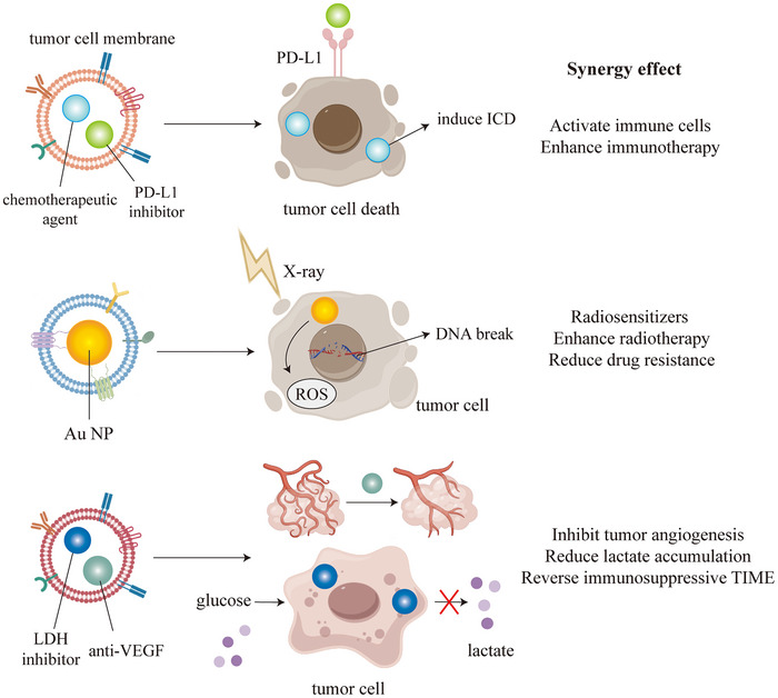 FIGURE 16