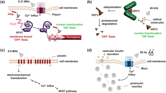 FIGURE 4