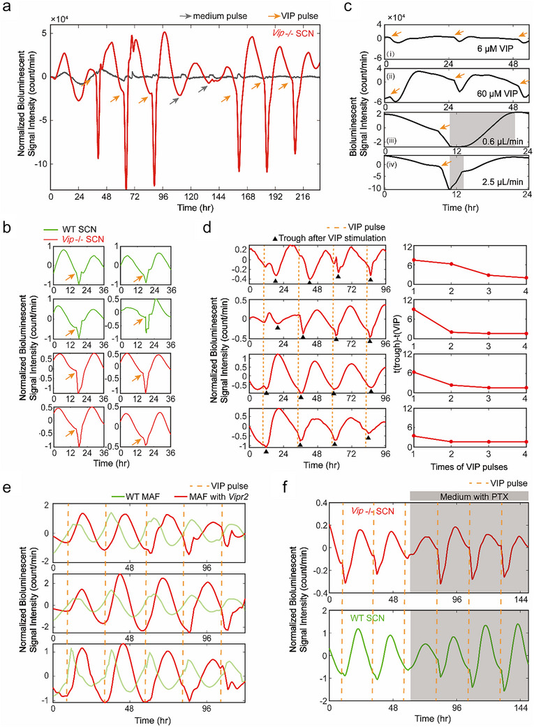 FIGURE 3
