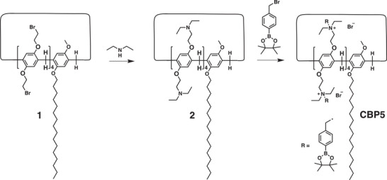Scheme 1