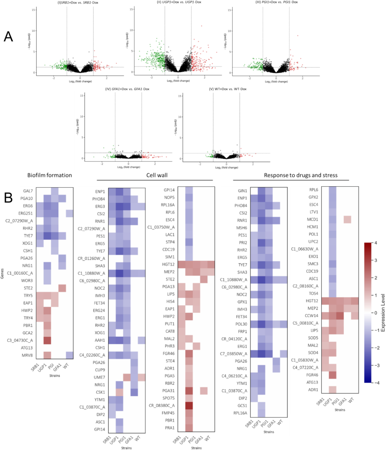 Figure 4