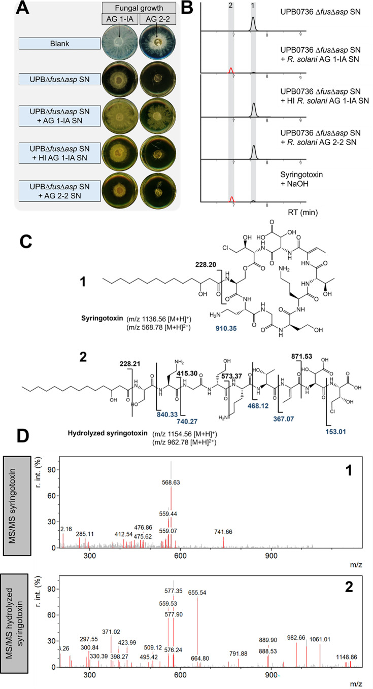 Fig 3