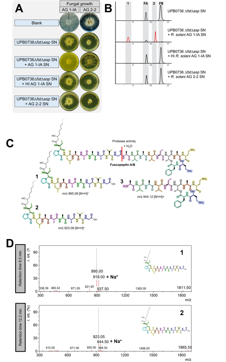 Fig 4