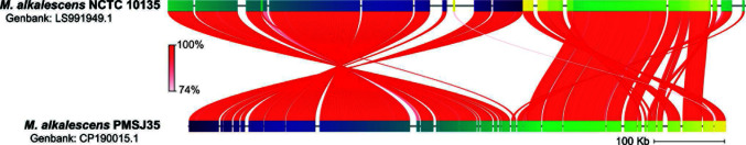 Fig 7