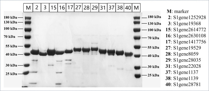Fig 4