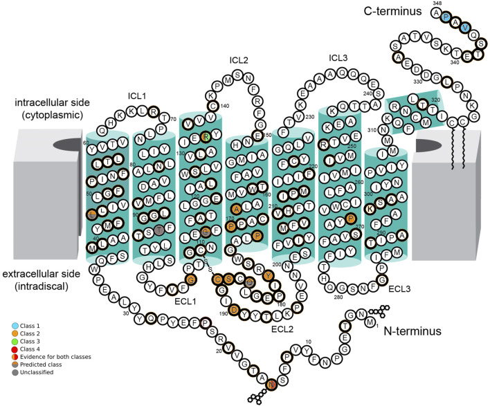 FIGURE 1