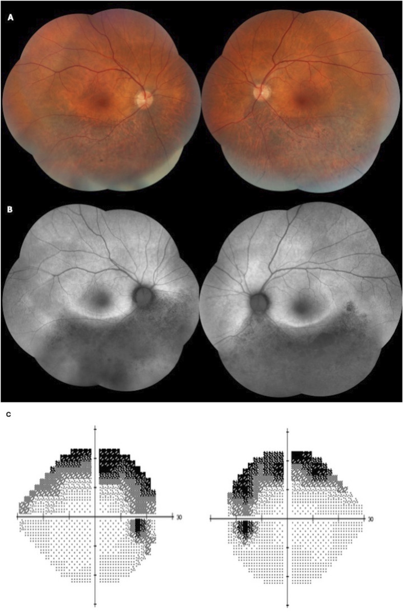 FIGURE 4