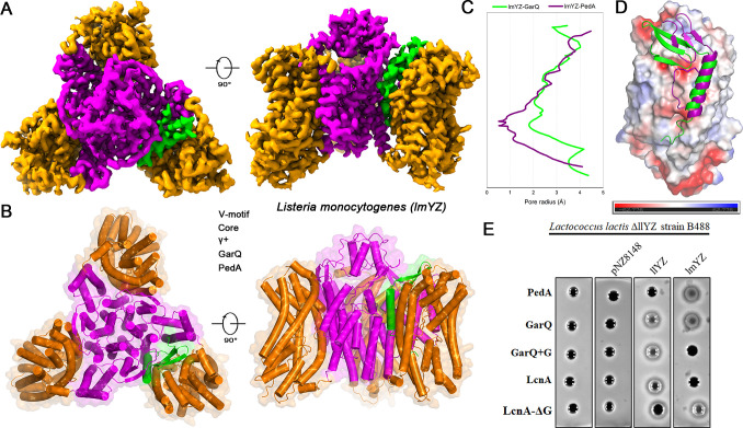 Fig 3