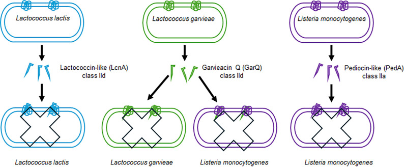 Fig 4