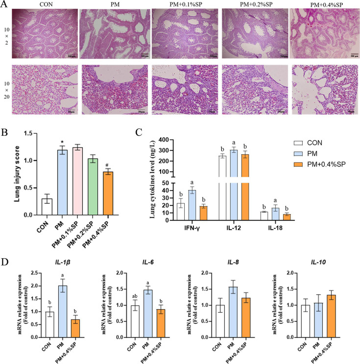 Fig 6