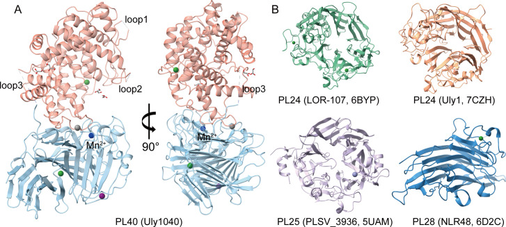 Fig 3