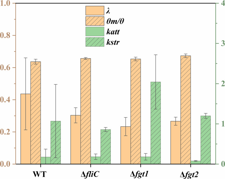 Fig 5