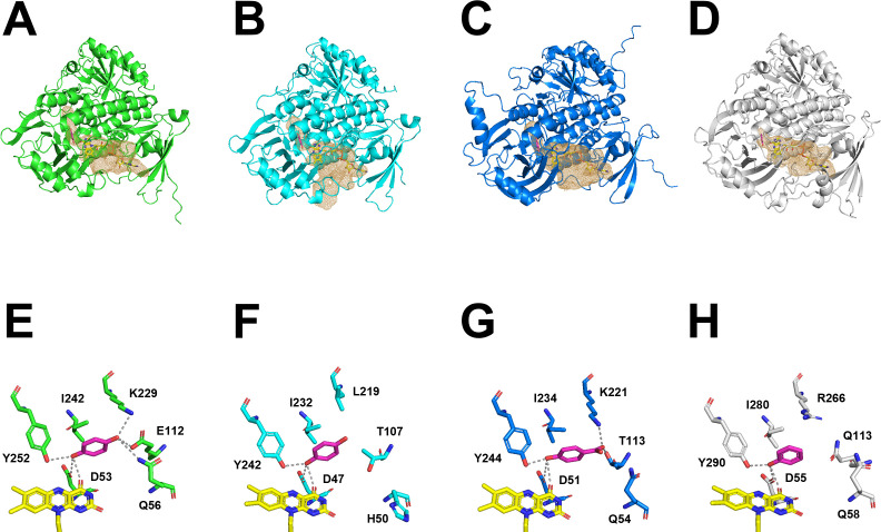 Fig 5
