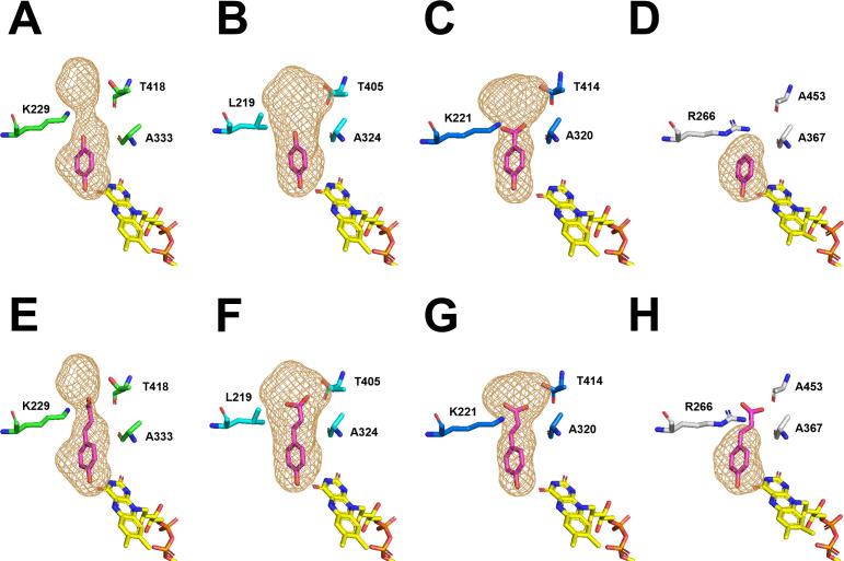 Fig 6
