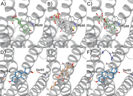 FIGURE 3