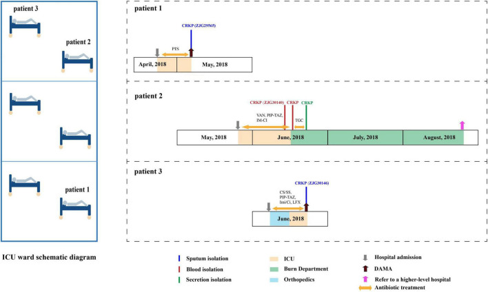FIGURE 1