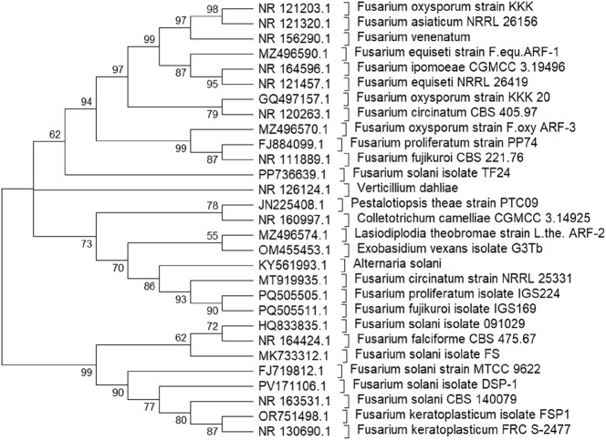 Figure 3