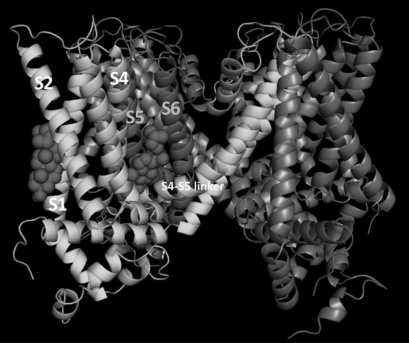 Figure 2