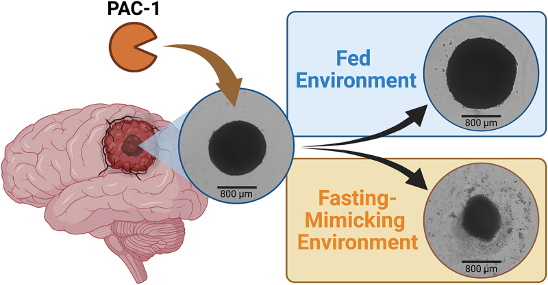 Figure 24