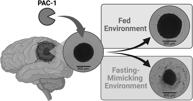 Figure 25