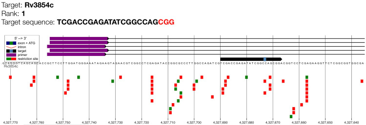 Figure 6