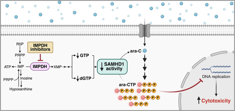 Figure 13