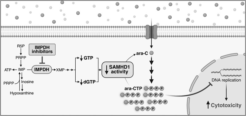 Figure 14