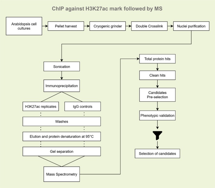 FIGURE 1