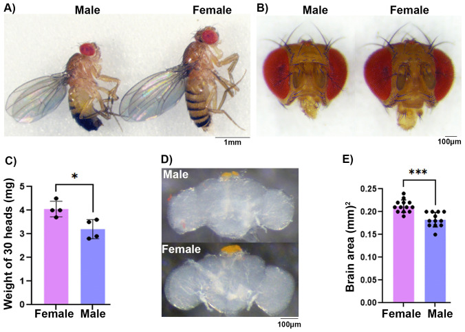 Fig 3