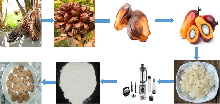 Fig 1
