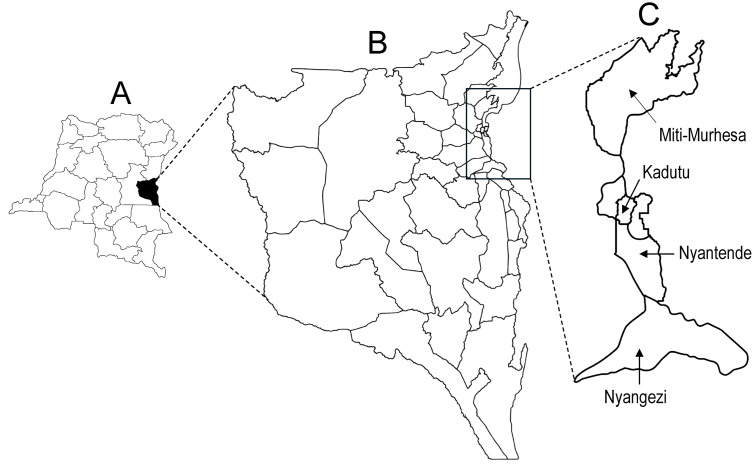 Fig 1