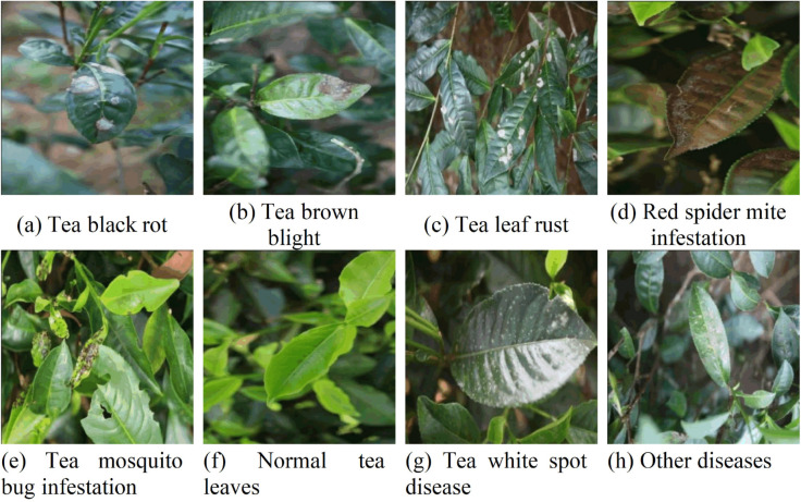 Fig 5