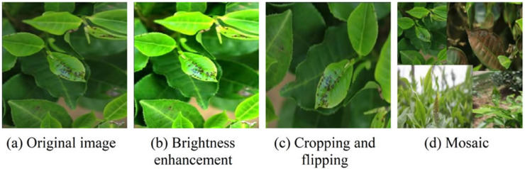 Fig 16