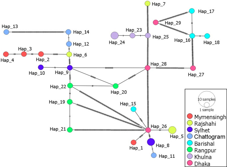 Fig 3
