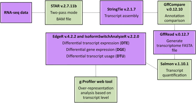 FIGURE 2