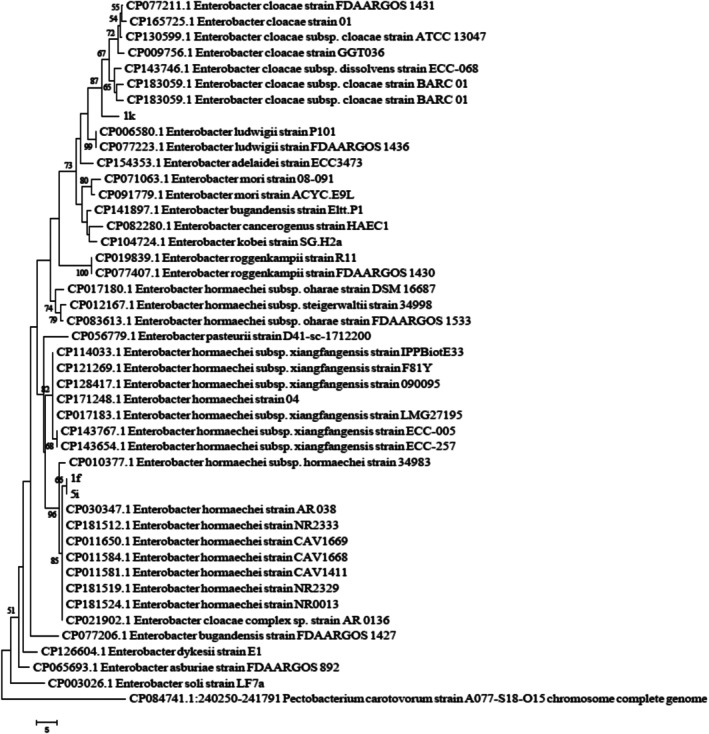 FIGURE 1