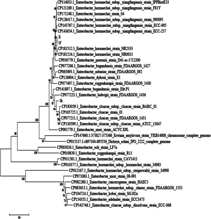 FIGURE 3