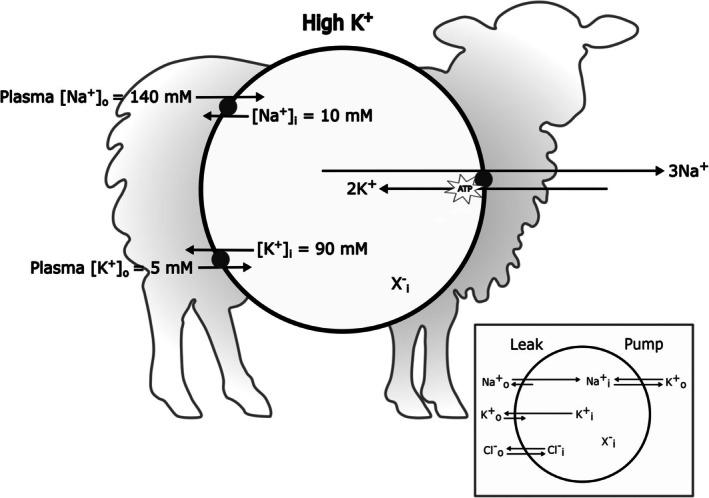 FIGURE 1