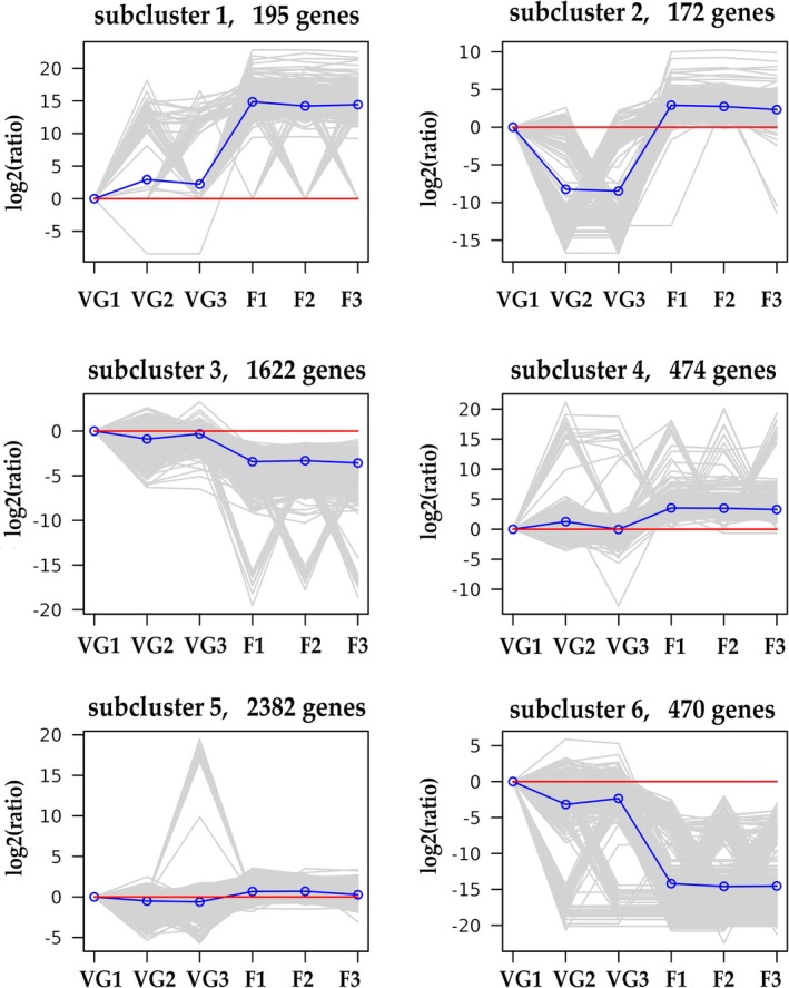 FIGURE 3