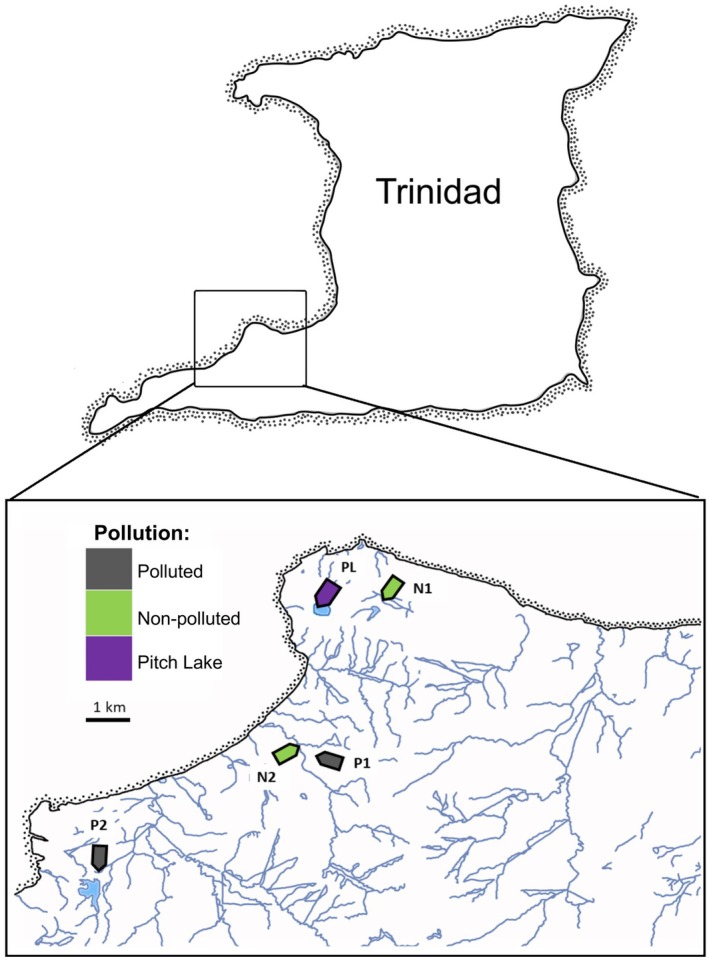 FIGURE 1