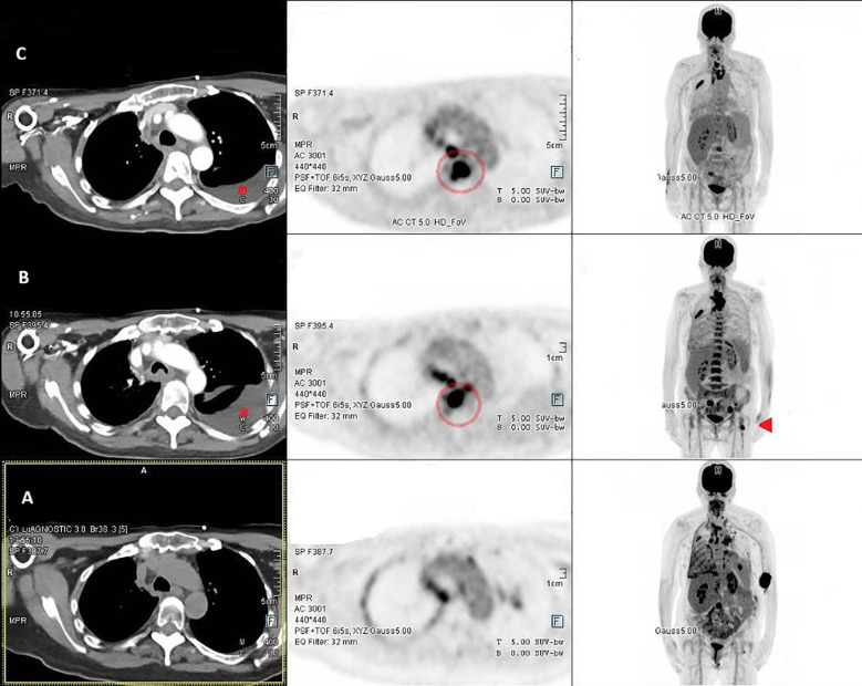 Figure 3