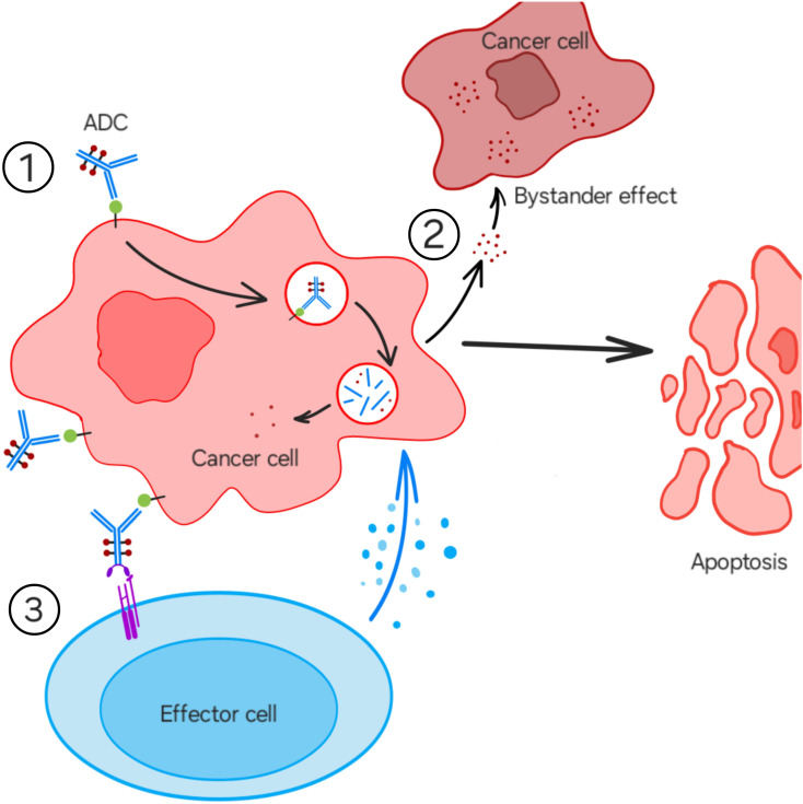 Figure 2