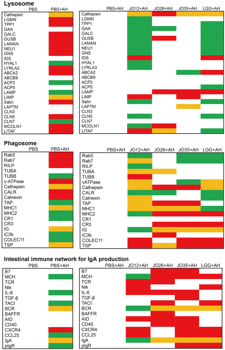 Figure 10