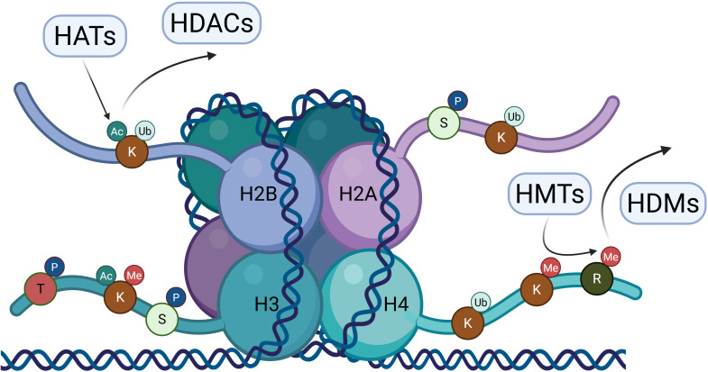 Figure 2