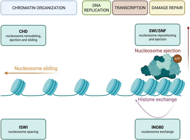 Figure 3