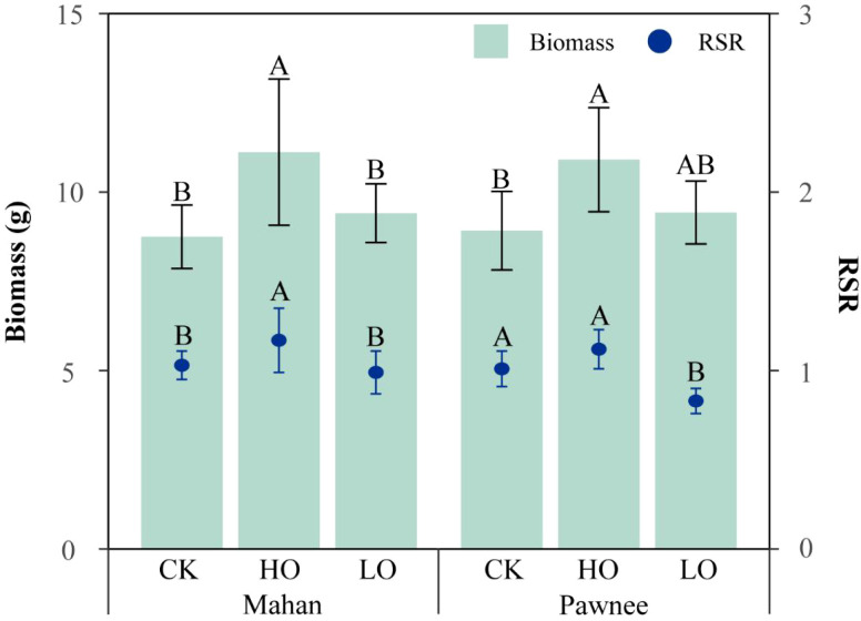 Figure 4