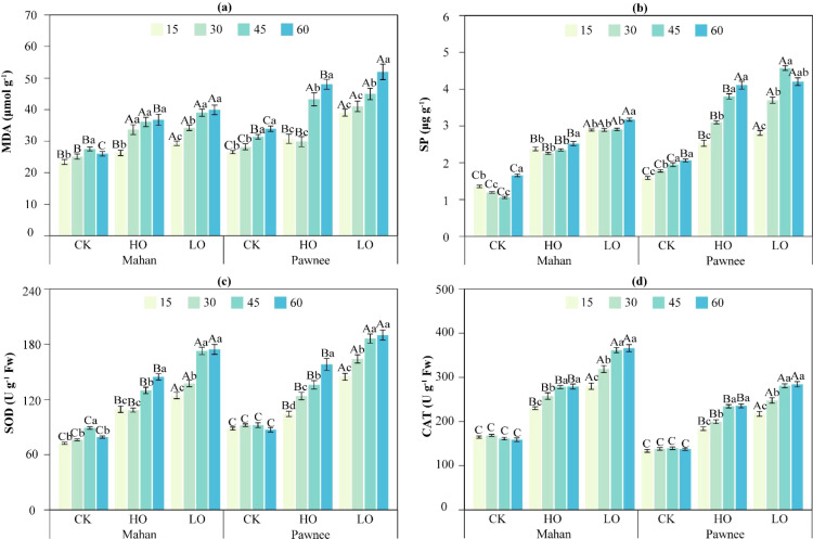 Figure 5
